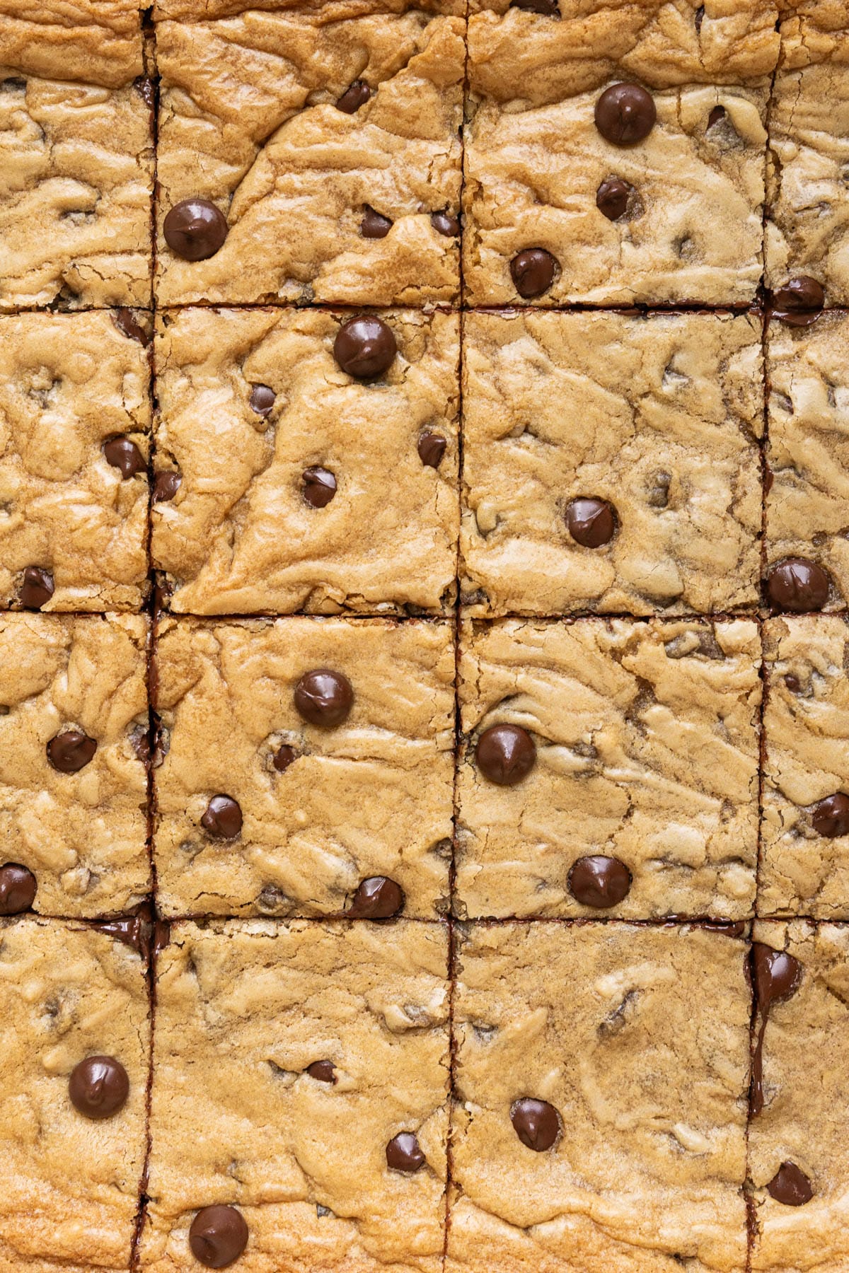 a close up image of sheet pan chocolate chip cookies. 