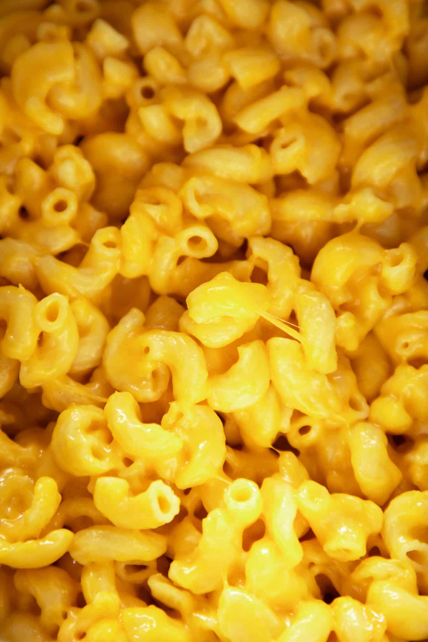 a close up image of mac and cheese. 