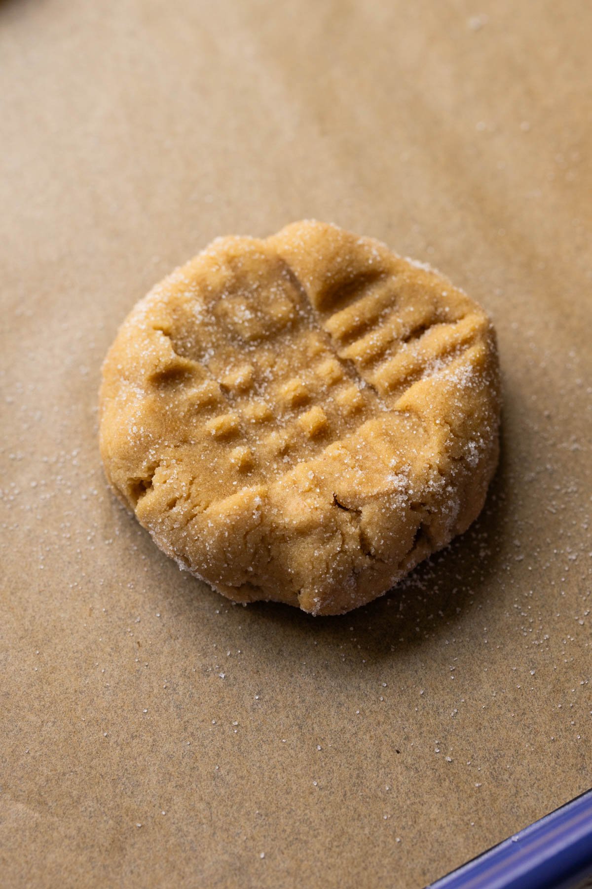 peanut butter cookie dough with a criss cross pattern on top. 