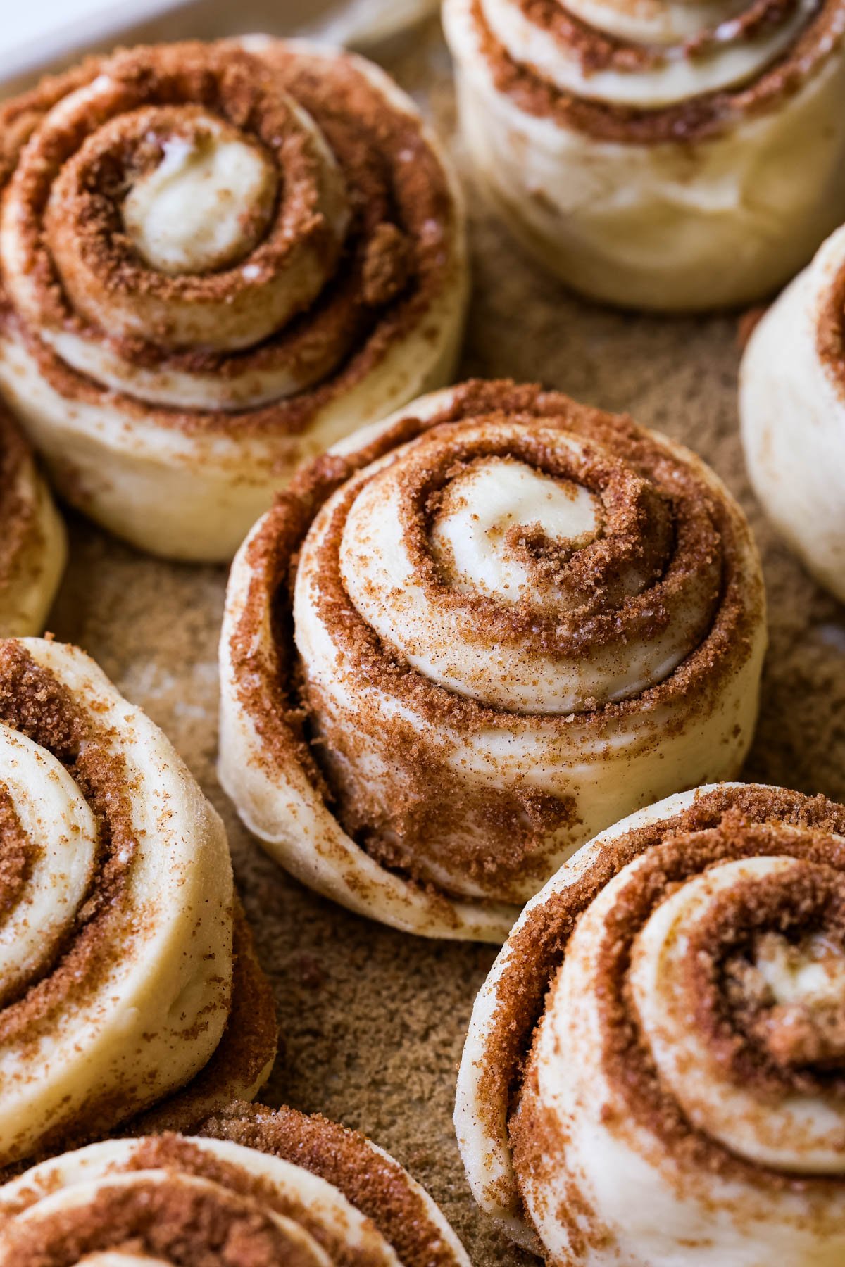 a close up image of a cinnamon roll. 