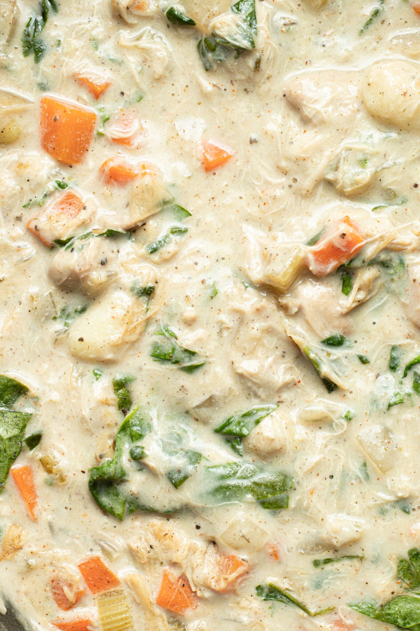 an up close image of chicken gnocchi soup.