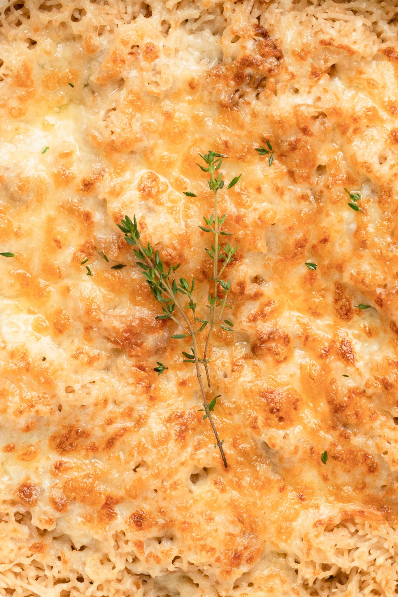 Close up image of cheesy rice garnished with fresh thyme. 