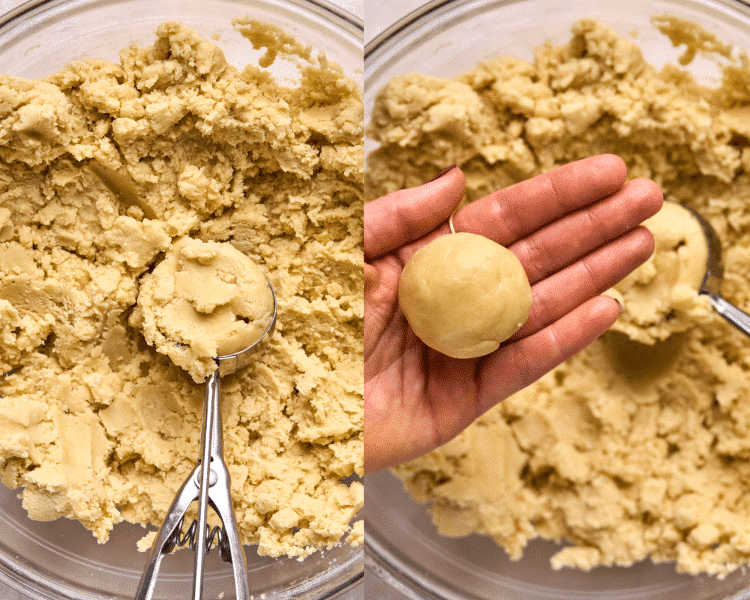 cookie scoop in sugar cookie dough; hand holding ball of cookie dough