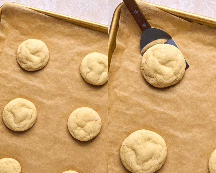 baked sugar cookies on parchment lined cookie sheet