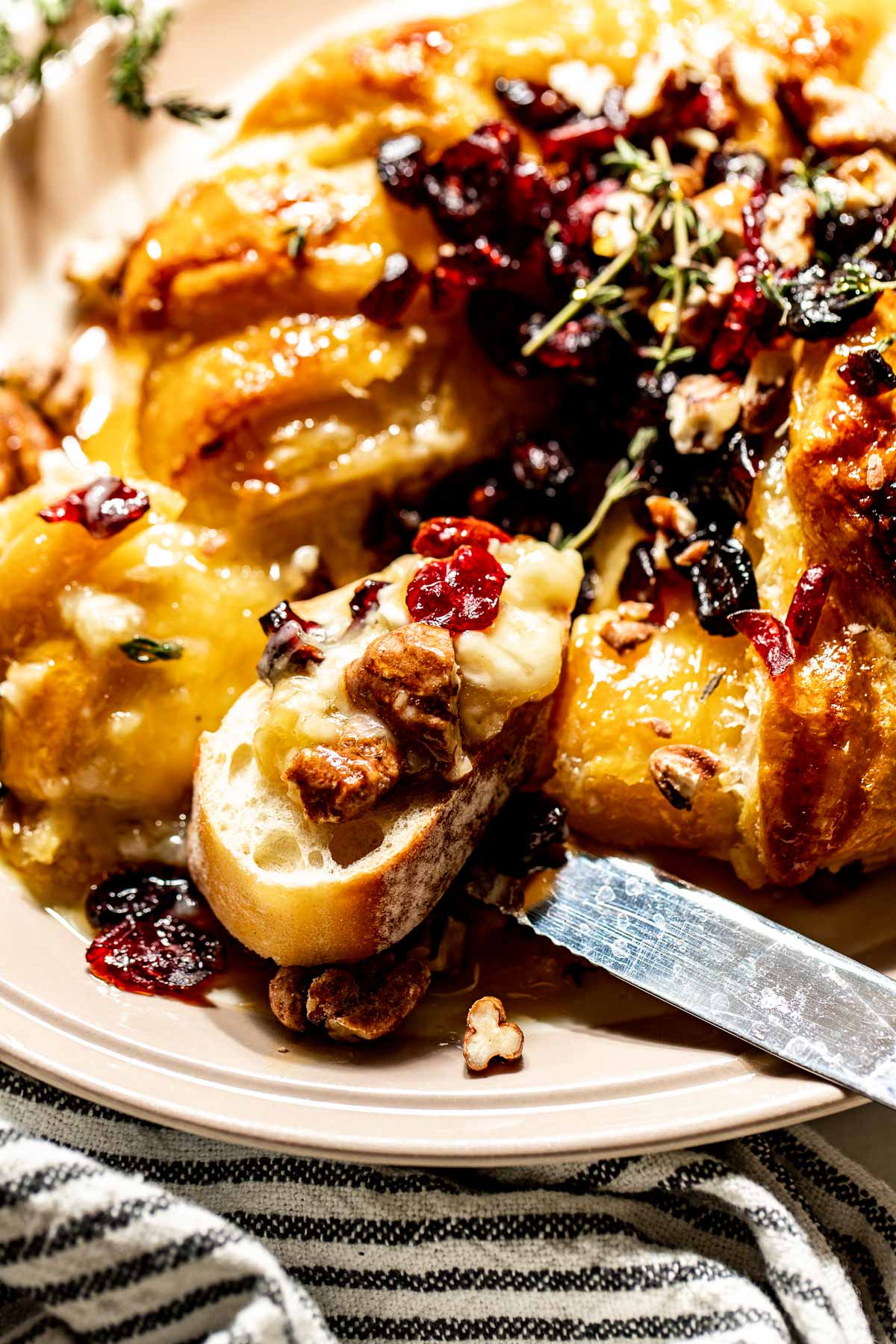 close up image of warm brie cheese with pecans, dried cranberries, pastry, and fresh thyme.