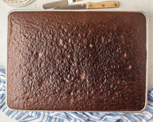 Chocolate cake on a half sheet pan fresh out of the oven.