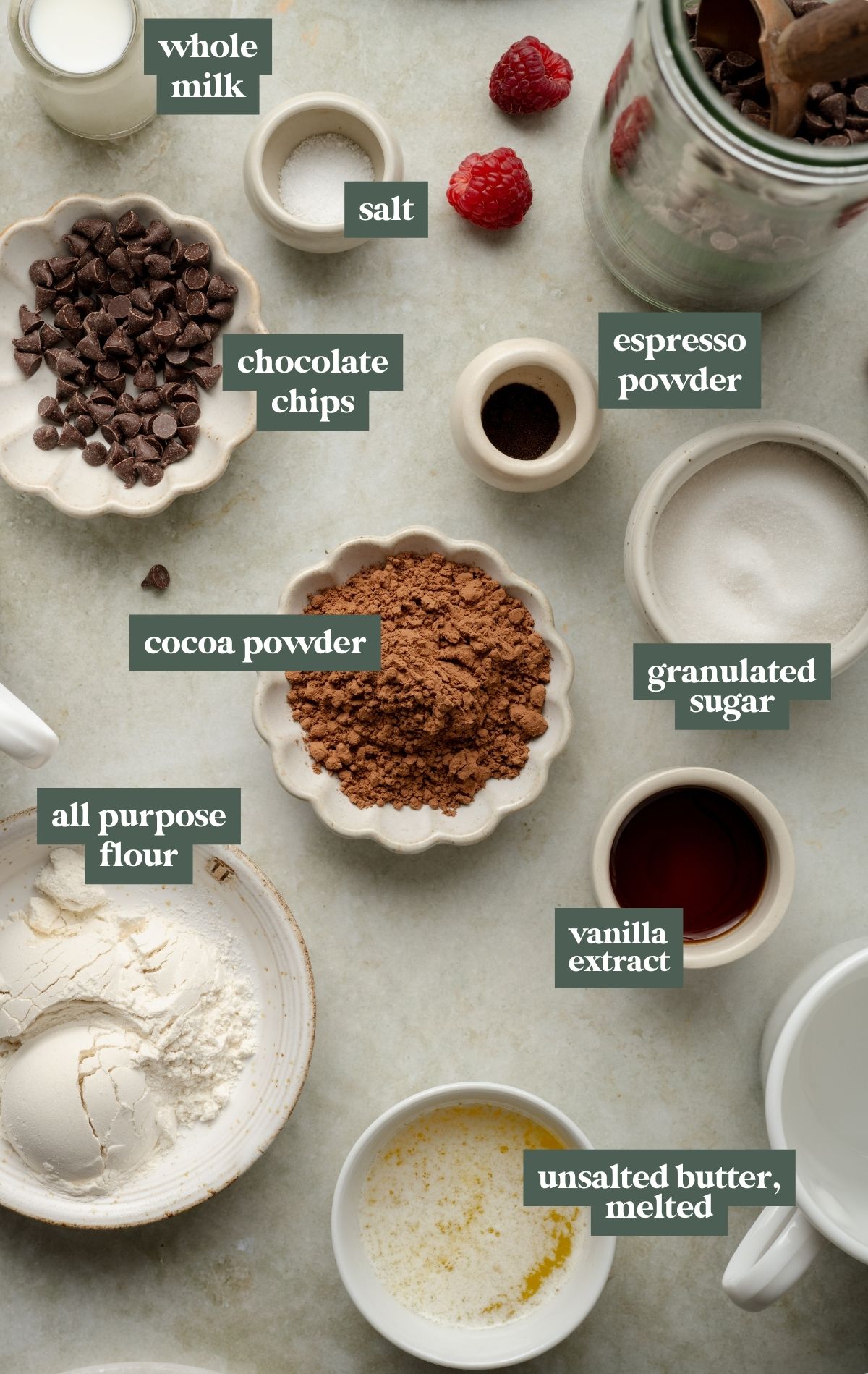 Overhead view of labeled ingredients for a chocolate cake made in a mug, including cocoa powder, all-purpose flour, chocolate chips, sugar, salt, espresso powder, whole milk, vanilla extract, and melted butter. Fresh raspberries are scattered around for garnish.