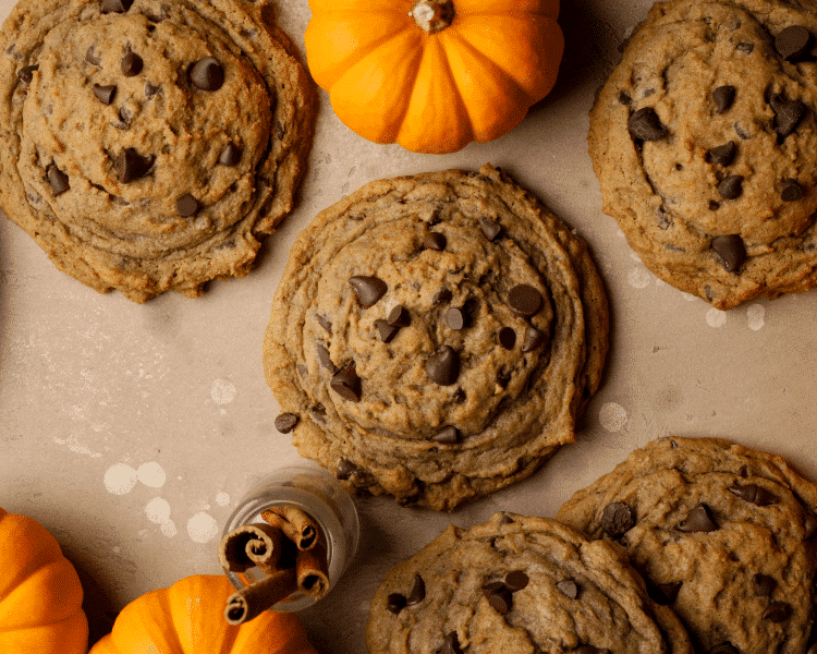 Pumpkin chocolate chip cookie baked and topped with extra chocolate chips.