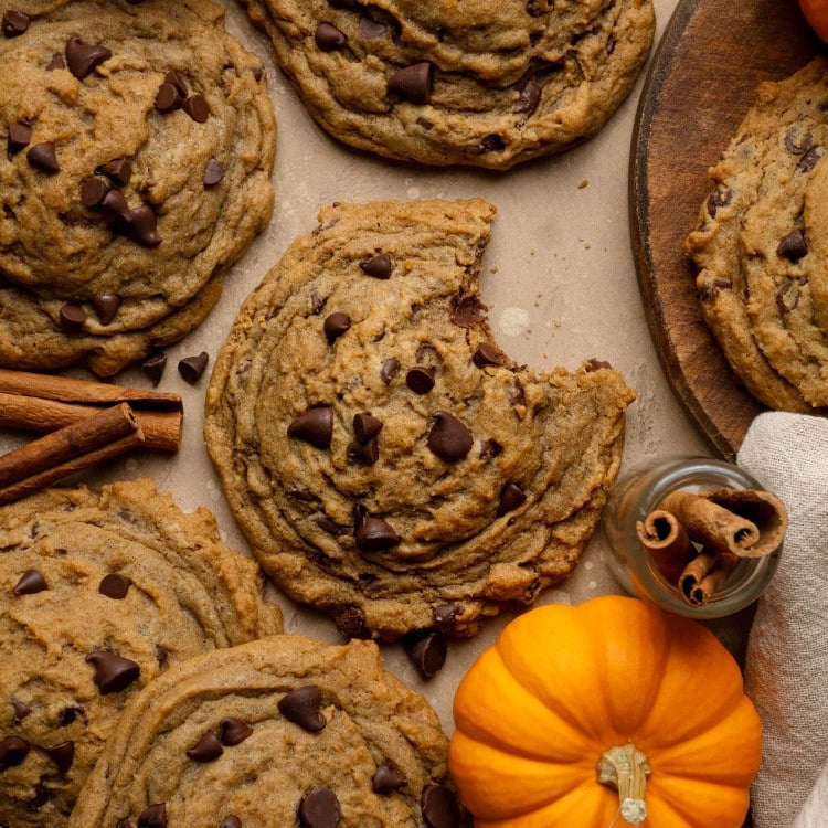 Chocolate chip pumpkin cookies on table with the center cookie with bite taken out of it.