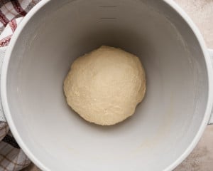Close-up image of the finished dough formed into a smooth ball in a mixing bowl, ready for its first rise.