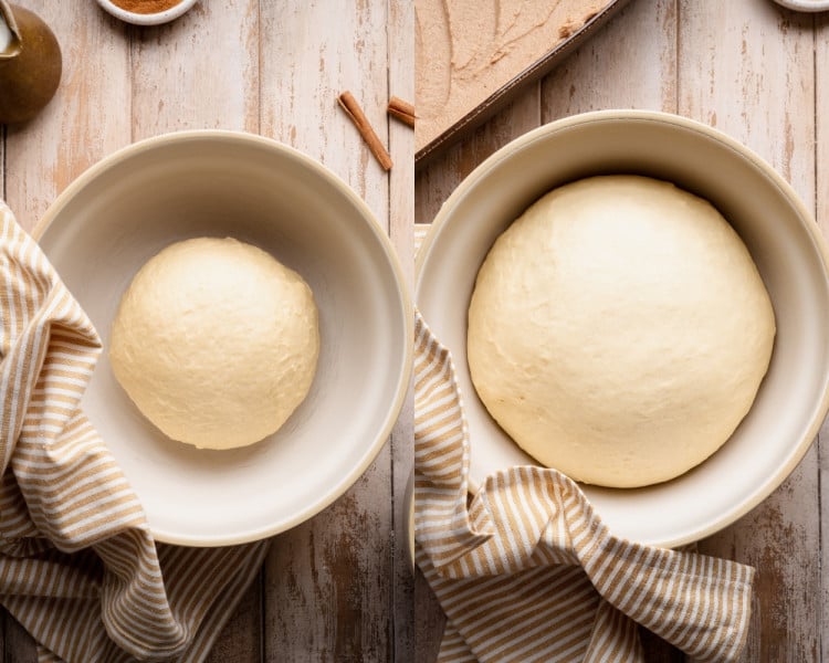 Side-by-side images of cinnamon roll dough before and after rising, showing the dough ball doubling in size in a covered bowl.