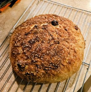 inbound4968743508251548547