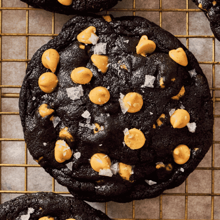 Featured image of chocolate peanut butter cookies.