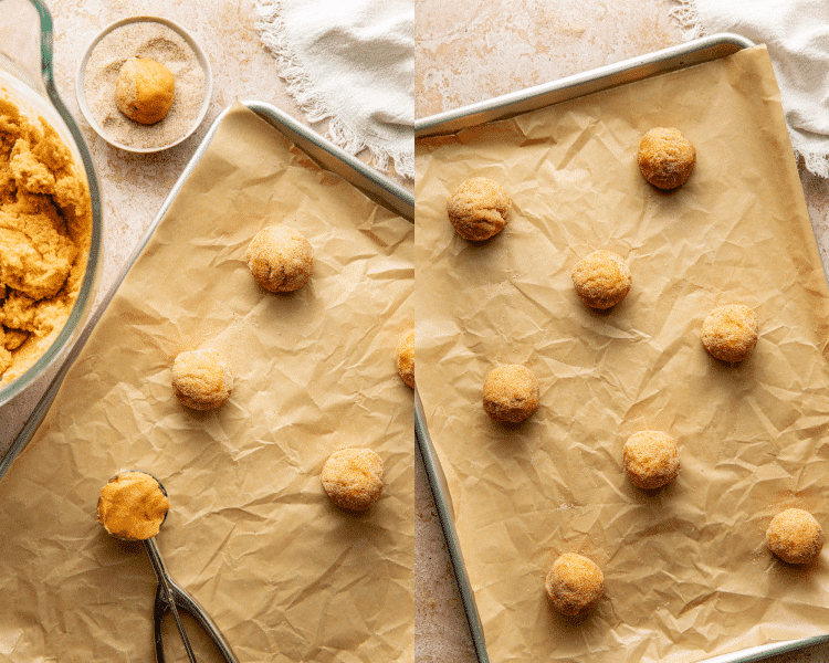 Side-by-side image of scooping the pumpkin sugar cookie dough and rolling in spiced sugar then placing on a parchment-lined baking sheet.